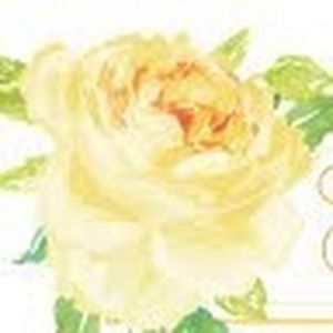 Meet your Posher, Texas native